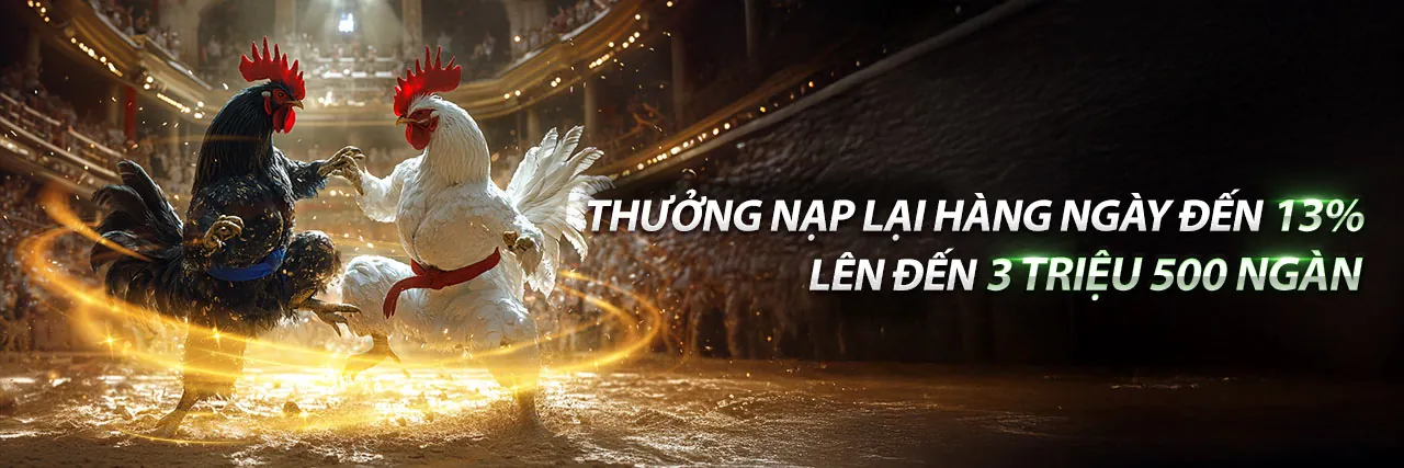 Đá Gà Trực Tiếp 16/2 Sống Động